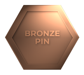 bronze pin